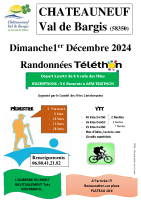 affiche telethon 2024